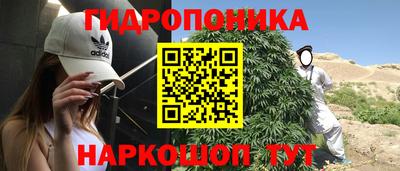 стафф Балаково